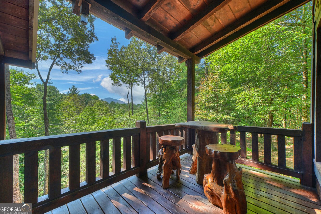330 Seneca Drive Ellijay - Photo 17