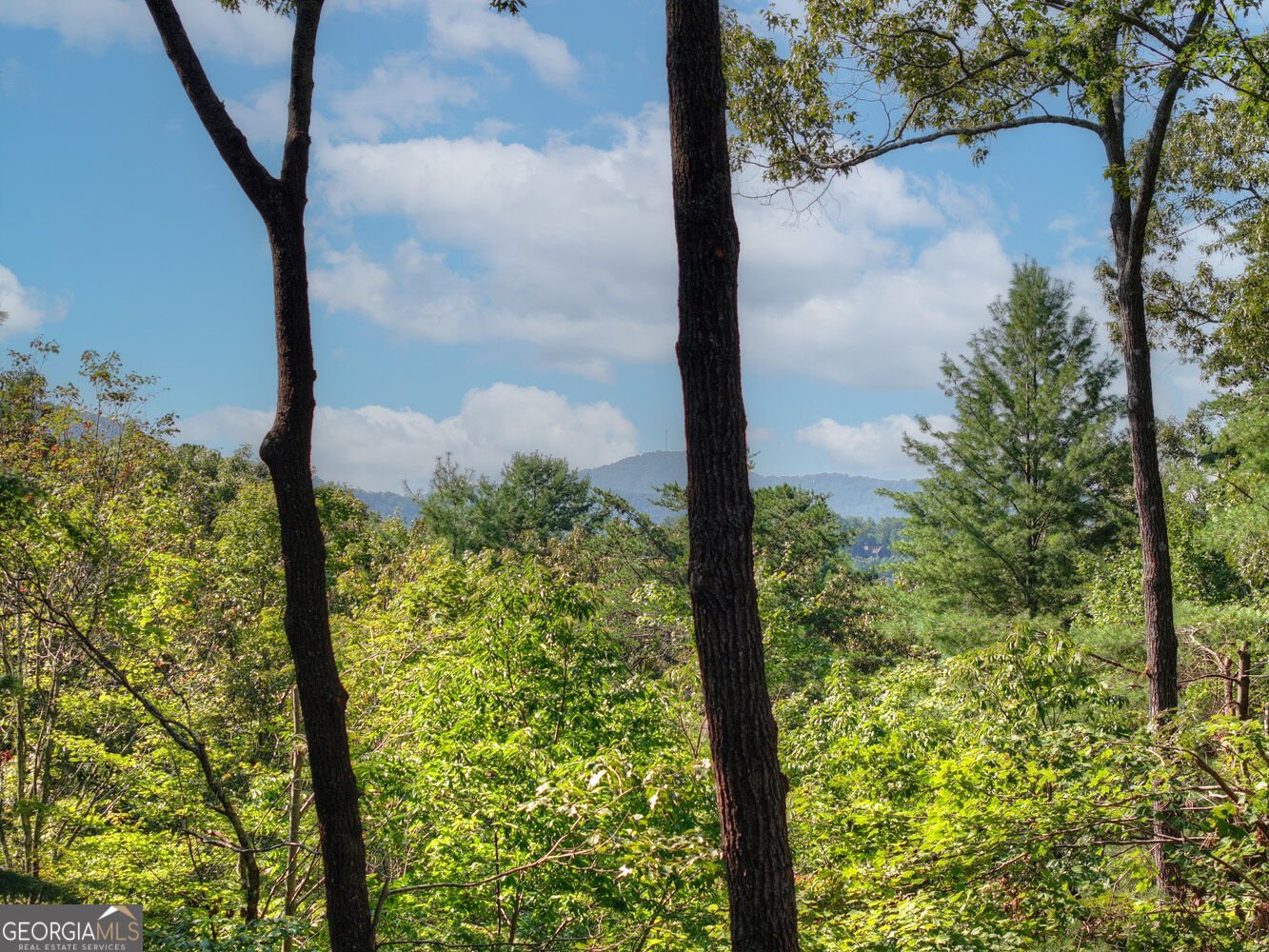 330 Seneca Drive Ellijay - Photo 44