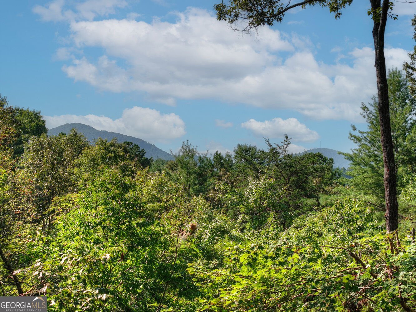 330 Seneca Drive Ellijay - Photo 45