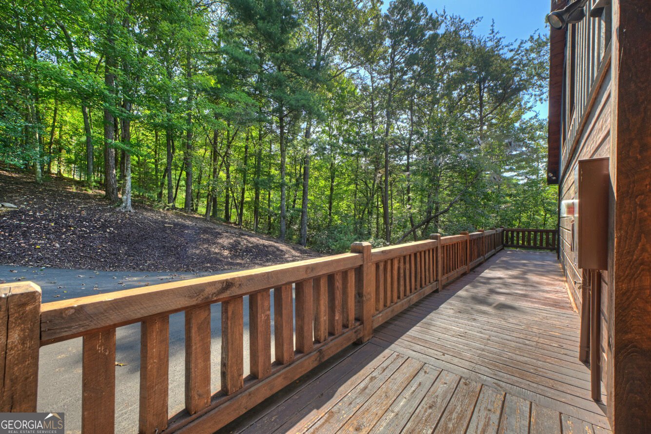 330 Seneca Drive Ellijay - Photo 47