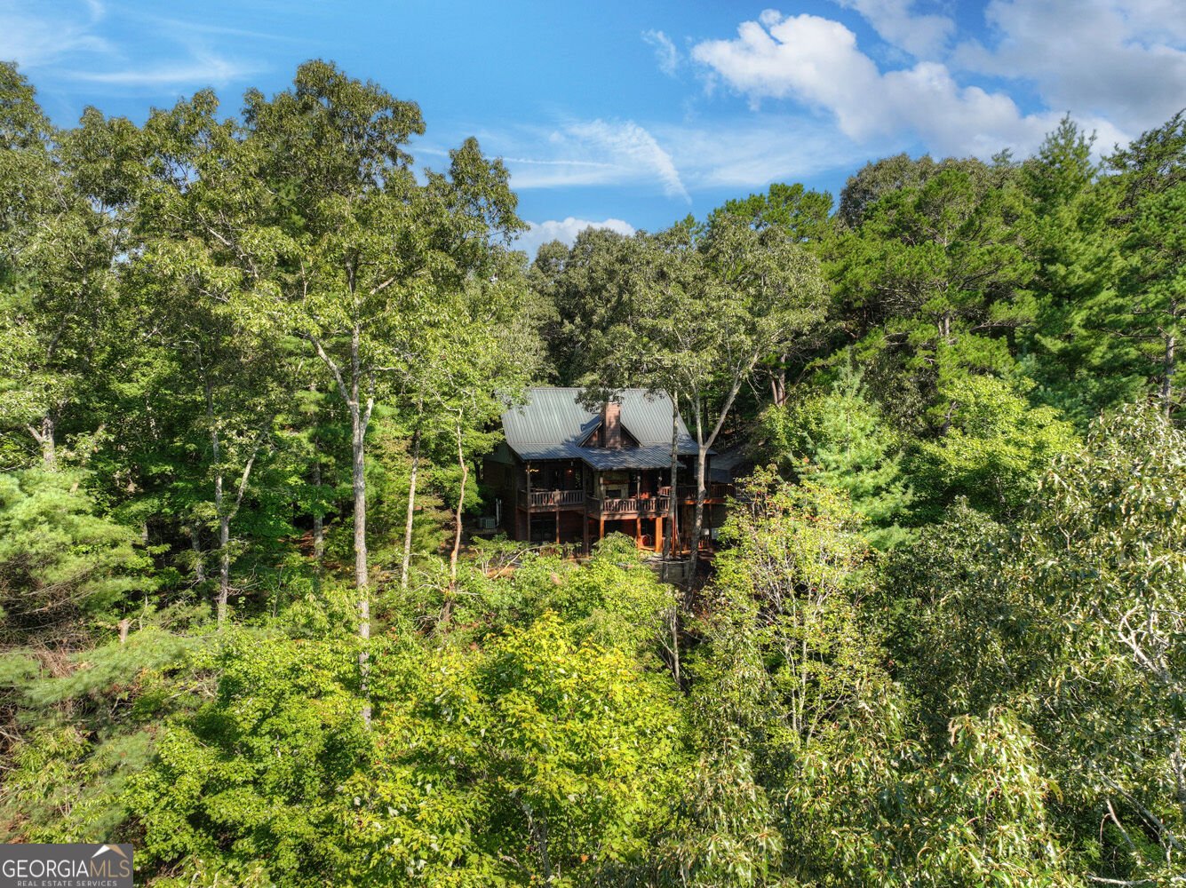 330 Seneca Drive Ellijay - Photo 54
