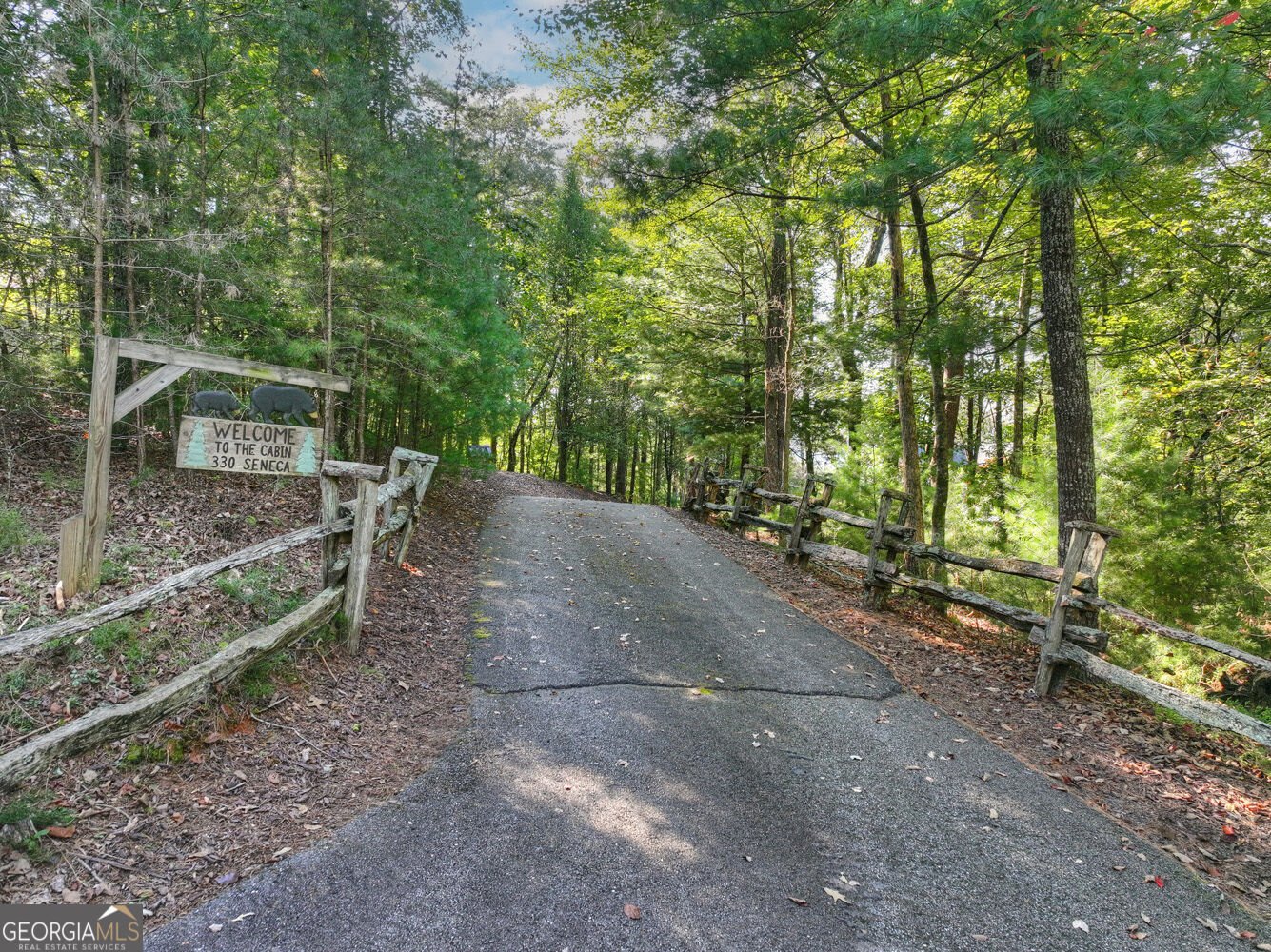 330 Seneca Drive Ellijay - Photo 56
