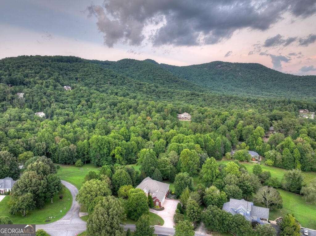 4165 Asheland Cove Drive Young Harris - Photo 22