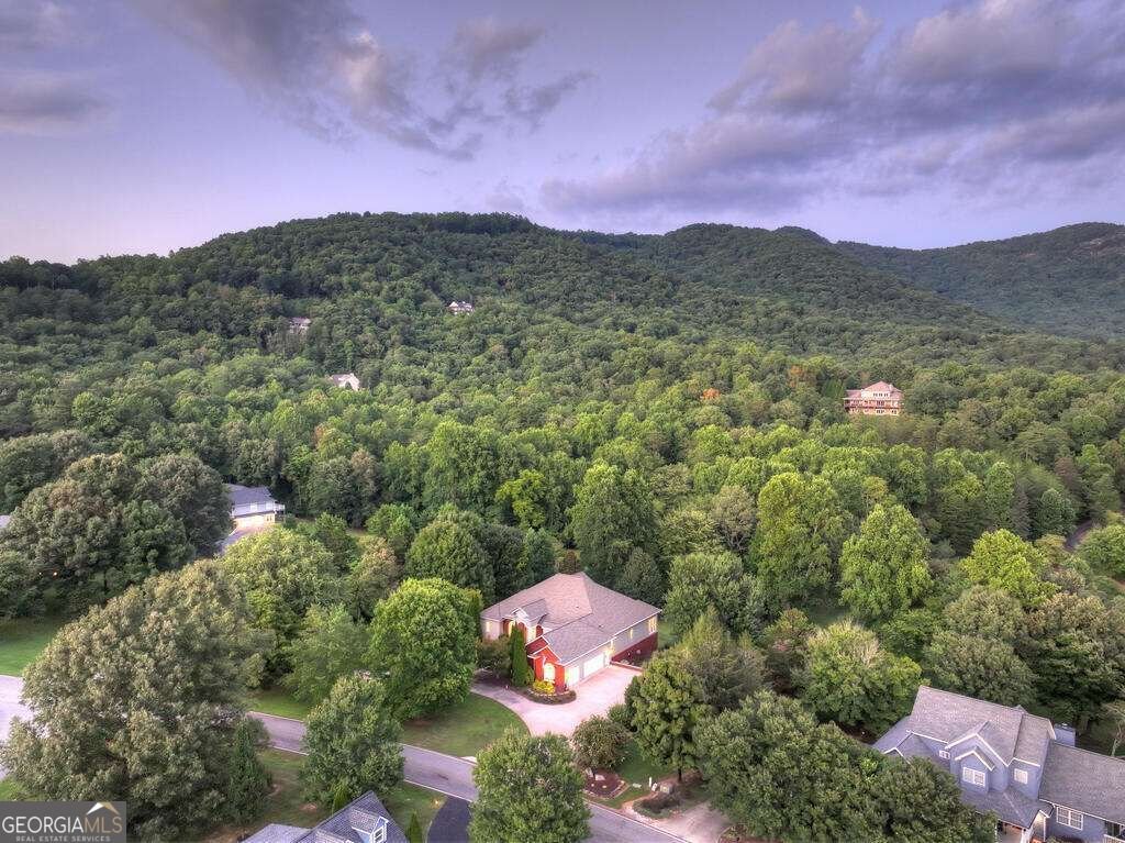 4165 Asheland Cove Drive Young Harris - Photo 25