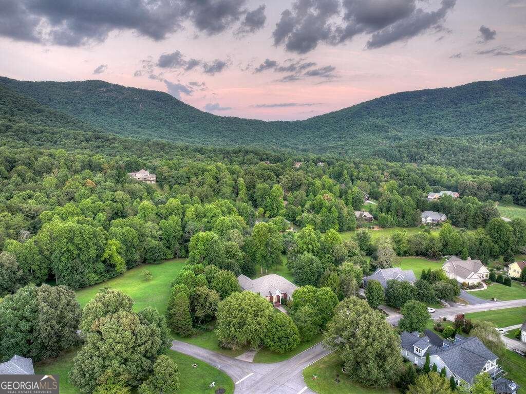 4165 Asheland Cove Drive Young Harris - Photo 27