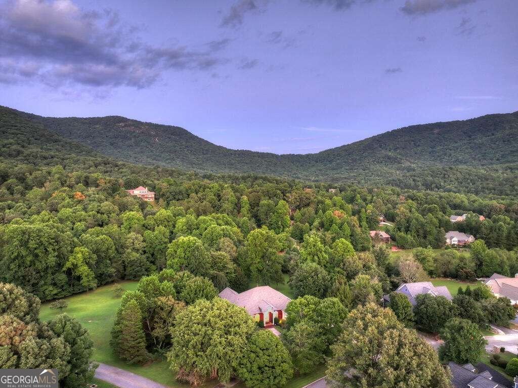 4165 Asheland Cove Drive Young Harris - Photo 28