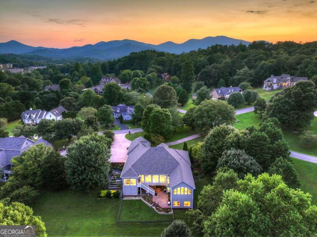 4165 Asheland Cove Drive Young Harris - Photo 30