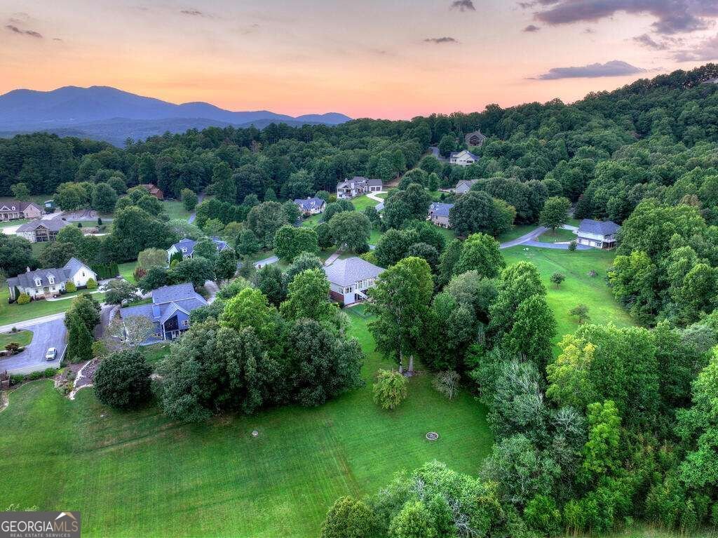 4165 Asheland Cove Drive Young Harris - Photo 32