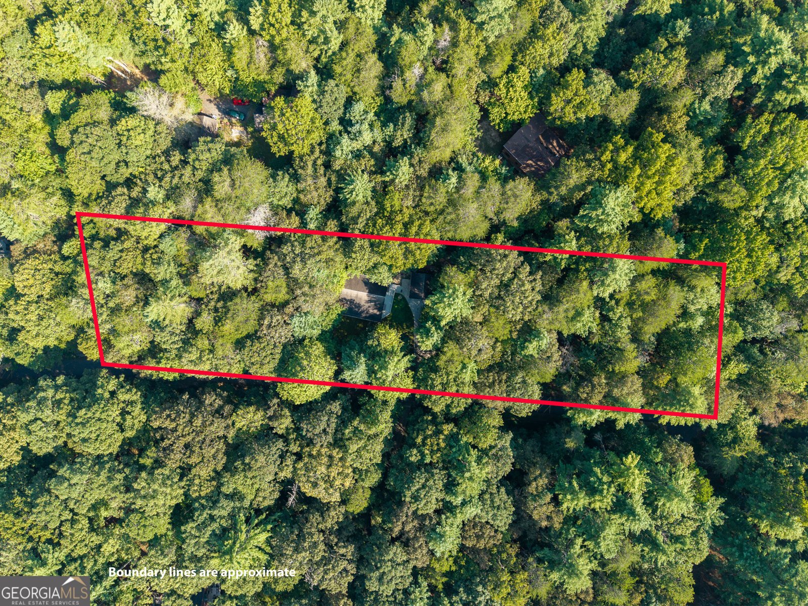 153 Blackberry Falls Drive Ellijay - Photo 23