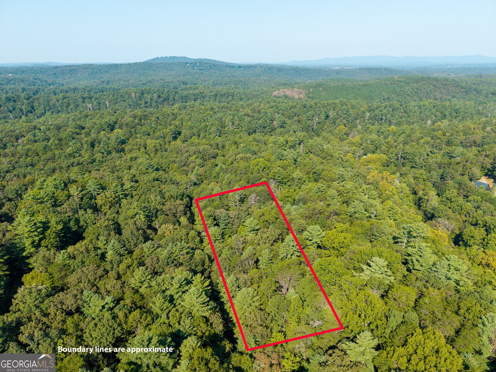 153 Blackberry Falls Drive Ellijay - Photo 24