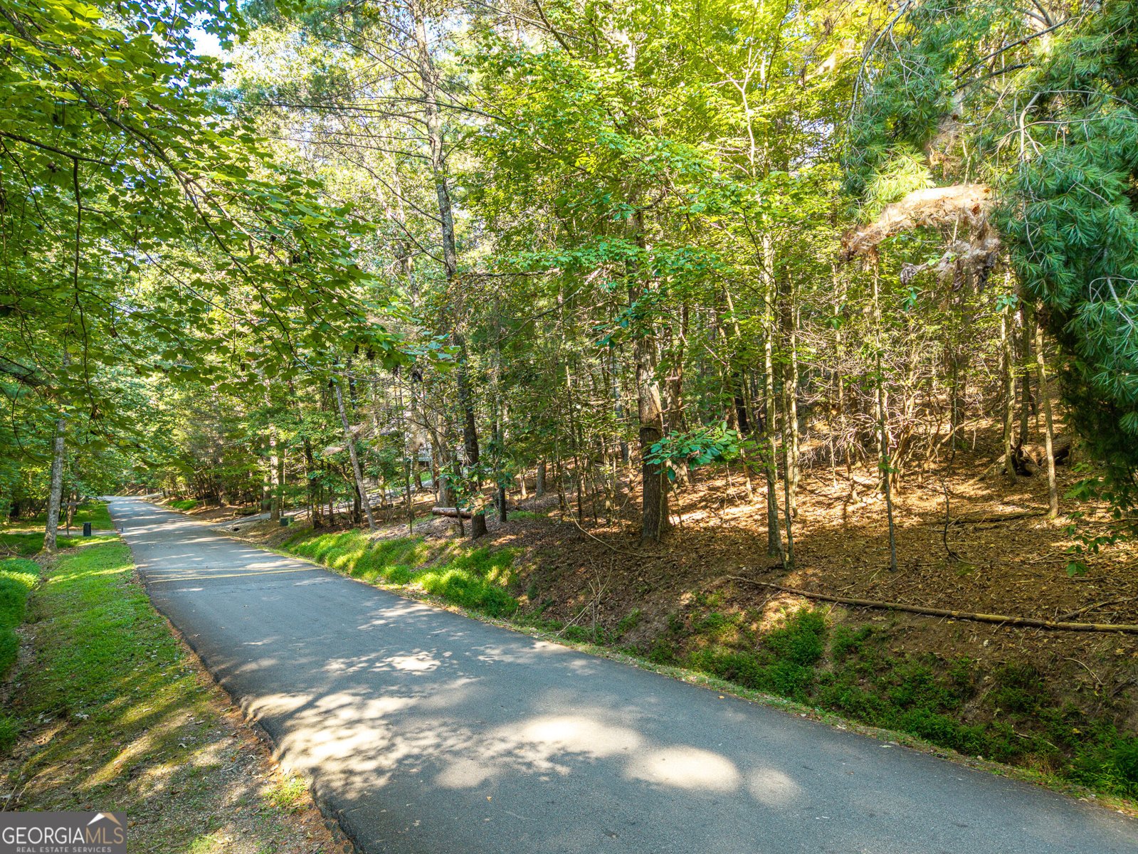 153 Blackberry Falls Drive Ellijay - Photo 25
