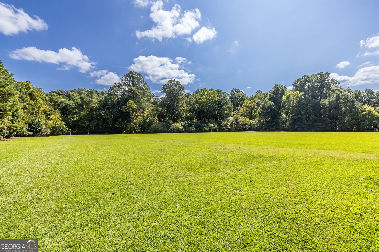 1509 Quarter Horse Way Roswell - Photo 71