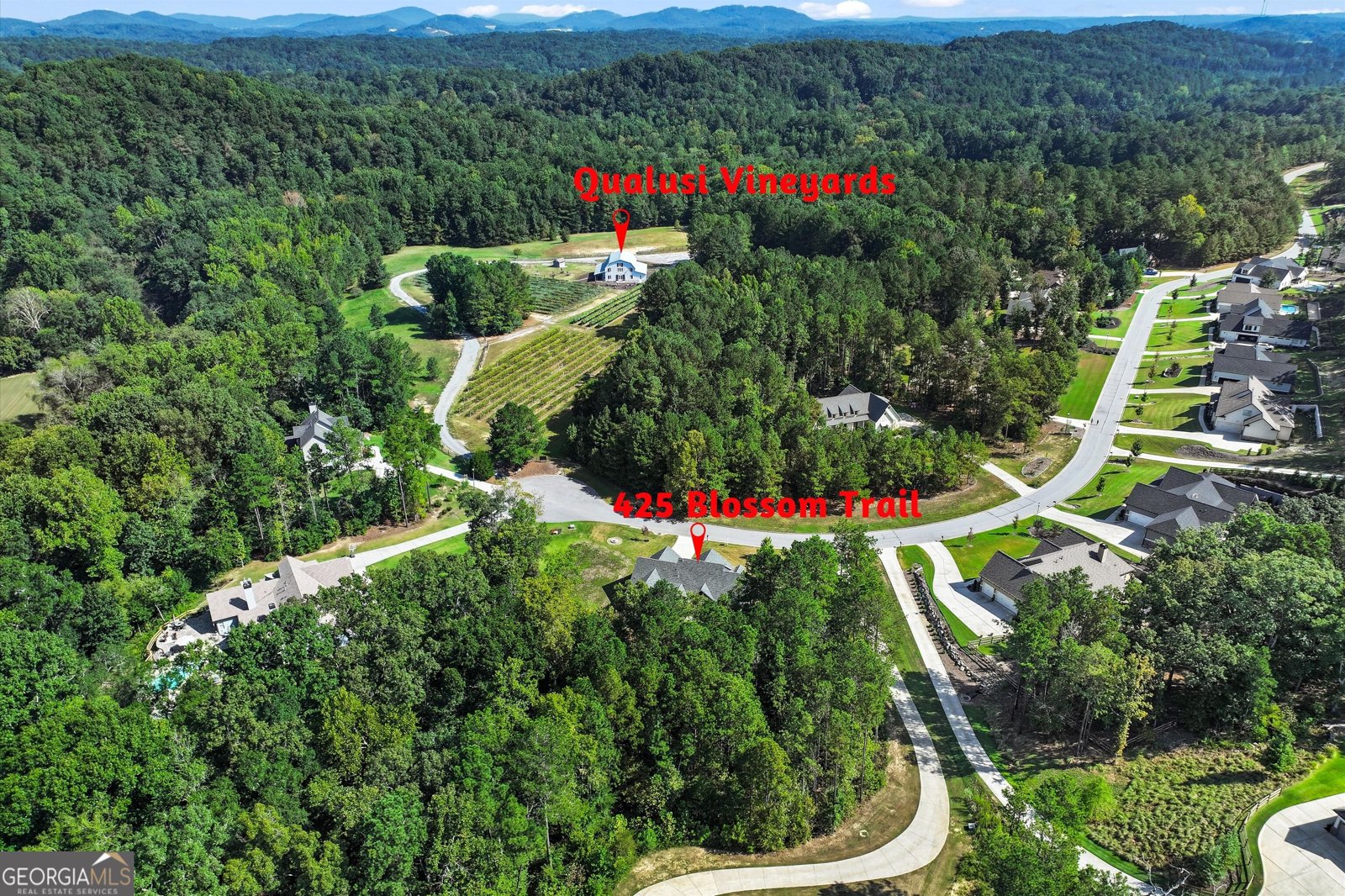 425 Blossom Trail Acworth - Photo 8