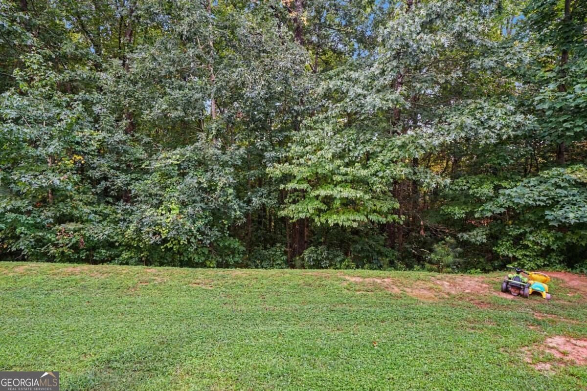 4455 Watson Ridge Drive Stone Mountain - Photo 33