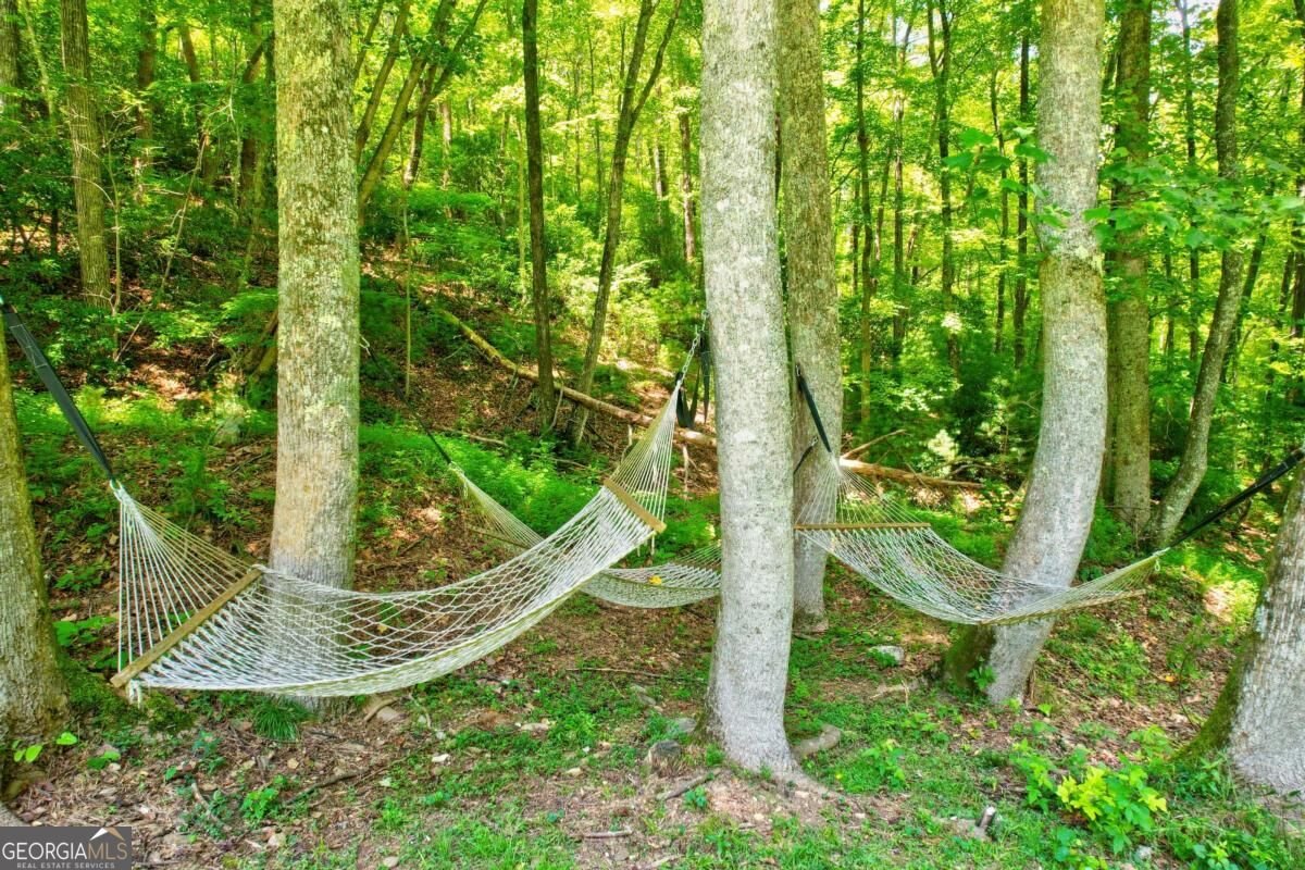 50 Trails End Ct Ellijay - Photo 10