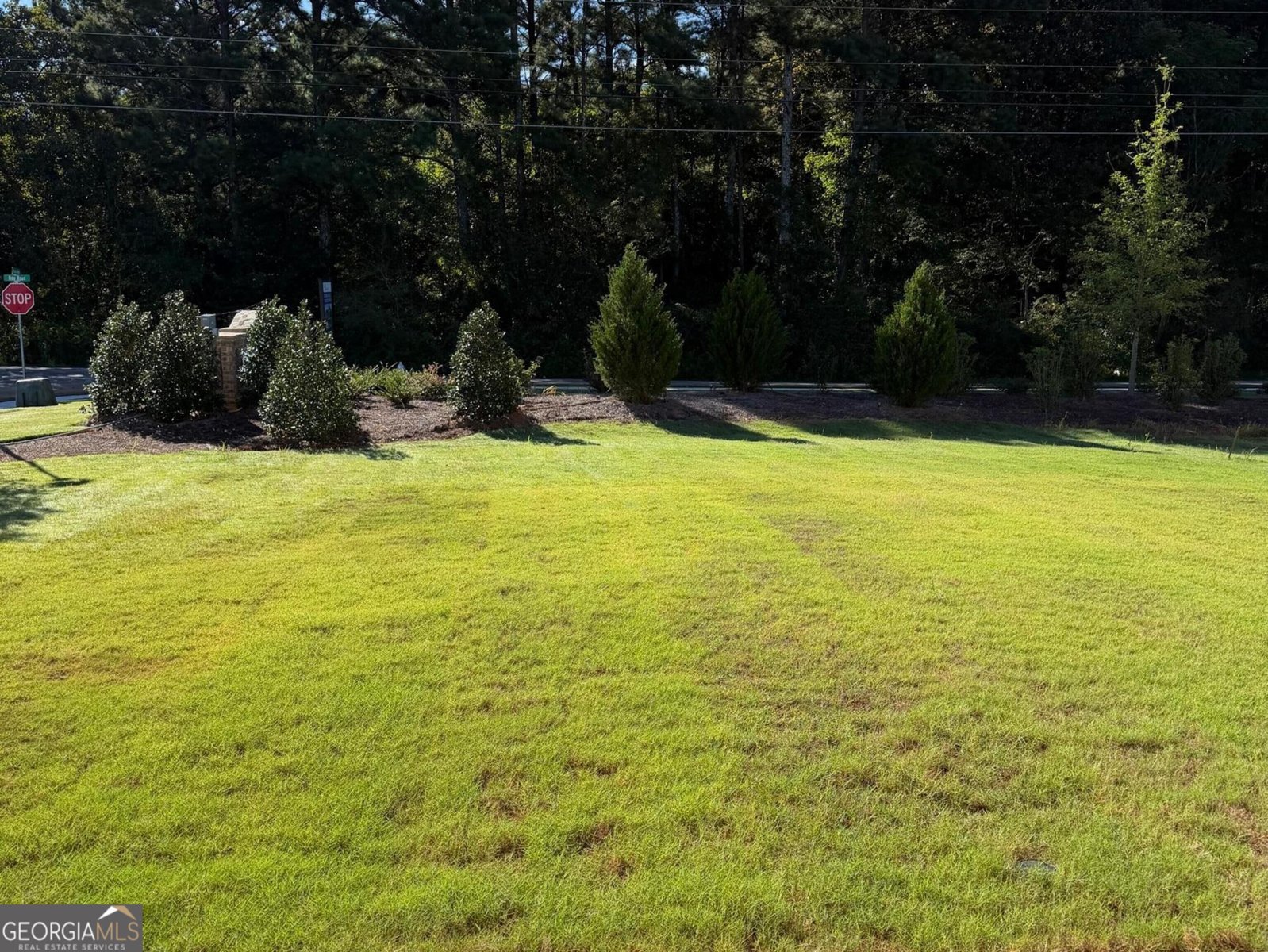 8131 Pine Ridge Road South Fulton - Photo 17