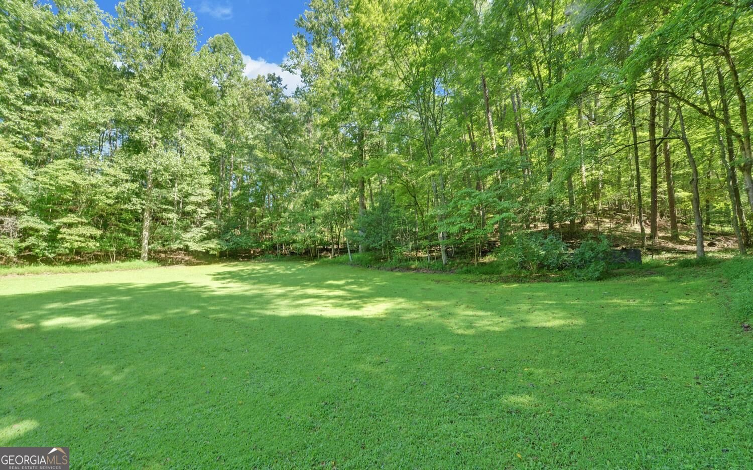 1374 Lucius Road Cherry Log - Photo 43