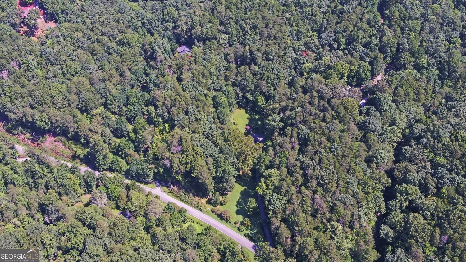 1374 Lucius Road Cherry Log - Photo 51