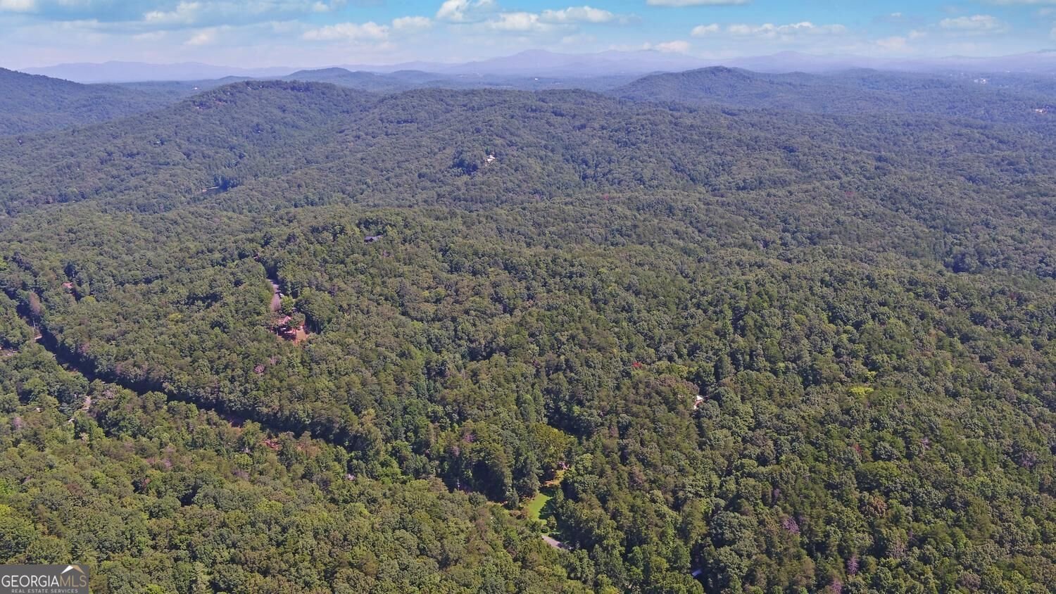 1374 Lucius Road Cherry Log - Photo 52