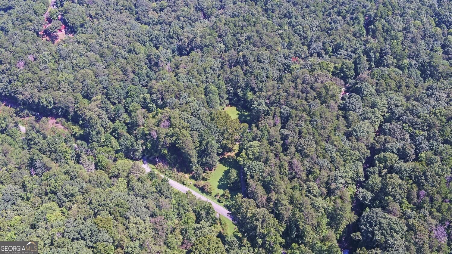 1374 Lucius Road Cherry Log - Photo 54