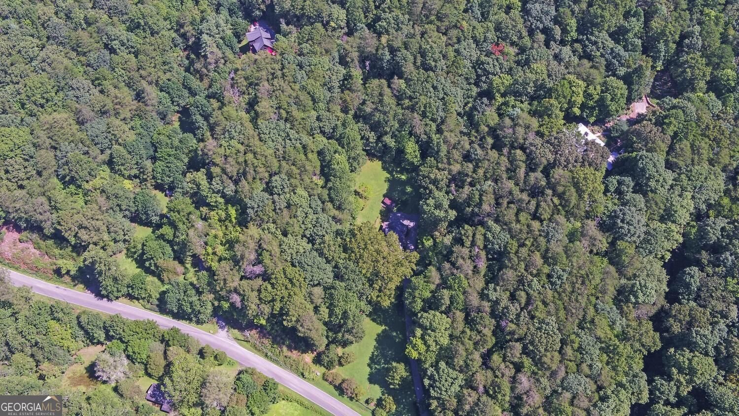 1374 Lucius Road Cherry Log - Photo 55