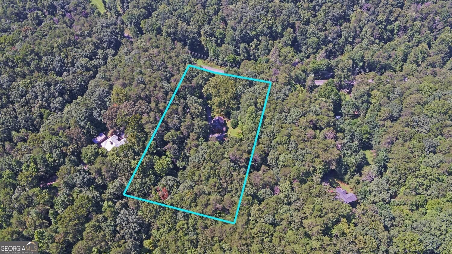 1374 Lucius Road Cherry Log - Photo 56