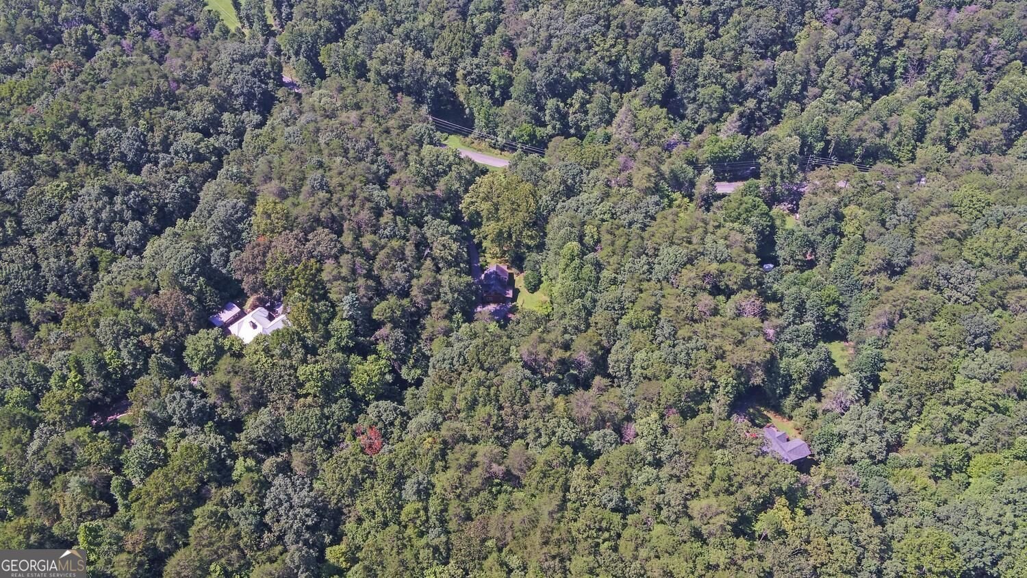 1374 Lucius Road Cherry Log - Photo 57