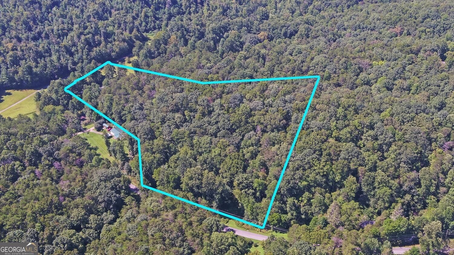 1374 Lucius Road Cherry Log - Photo 58