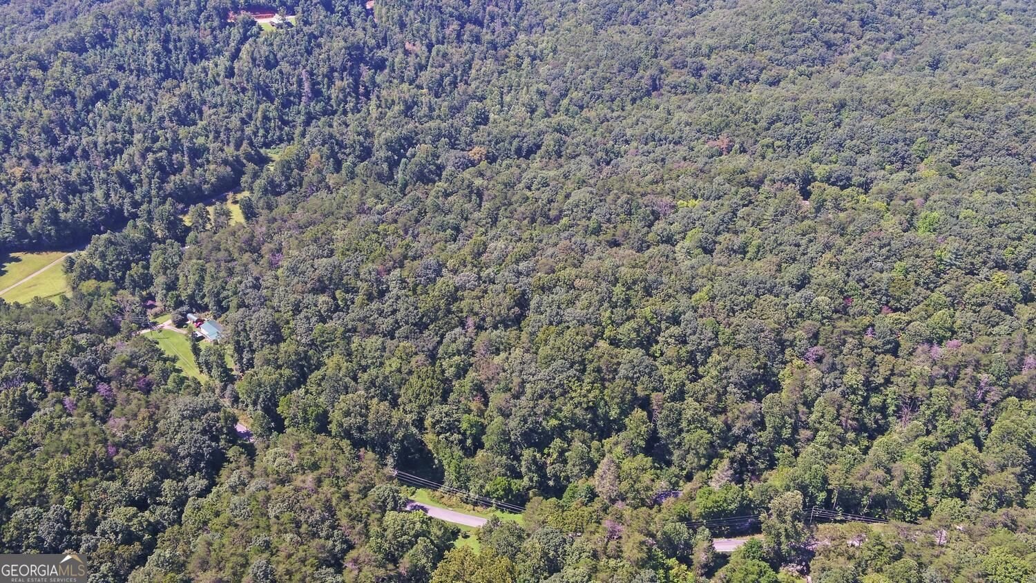 1374 Lucius Road Cherry Log - Photo 59