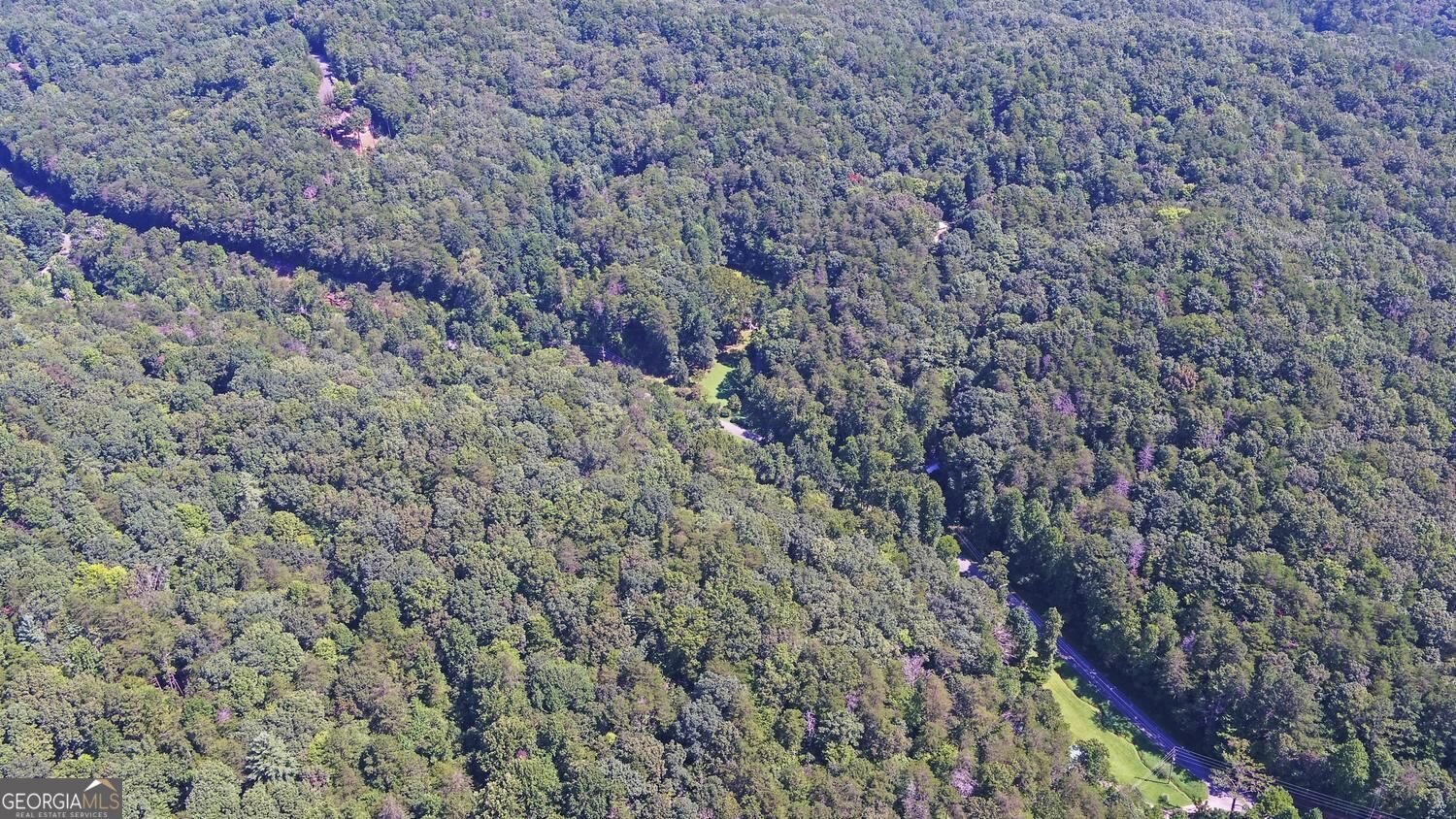 1374 Lucius Road Cherry Log - Photo 60