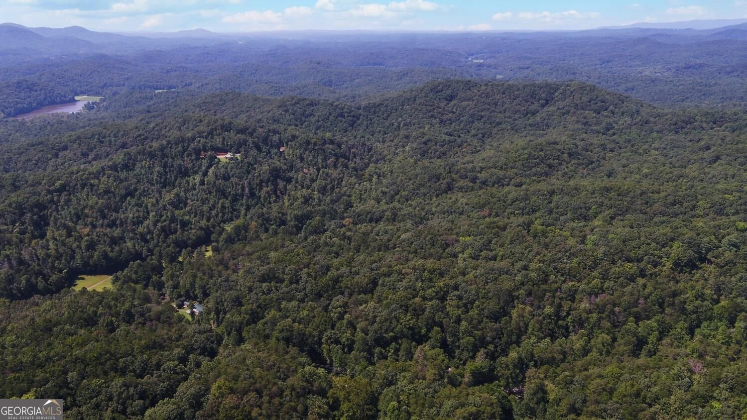 1374 Lucius Road Cherry Log - Photo 62