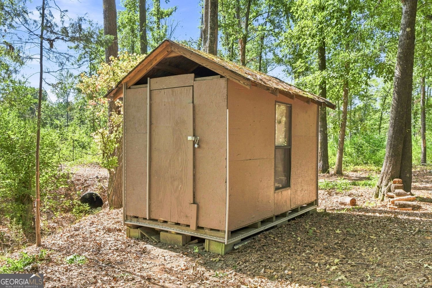 361 Wisso Road Griffin - Photo 34