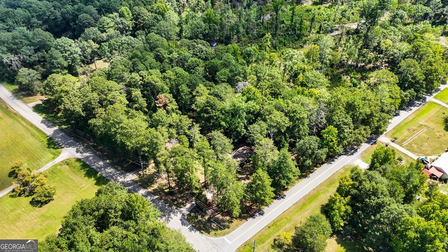 361 Wisso Road Griffin - Photo 41