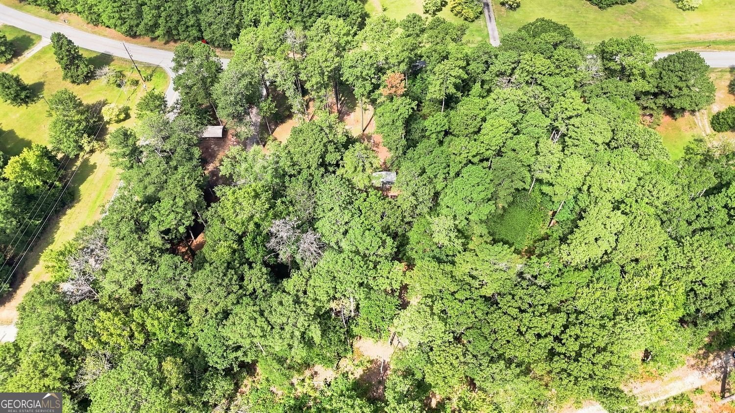 361 Wisso Road Griffin - Photo 44