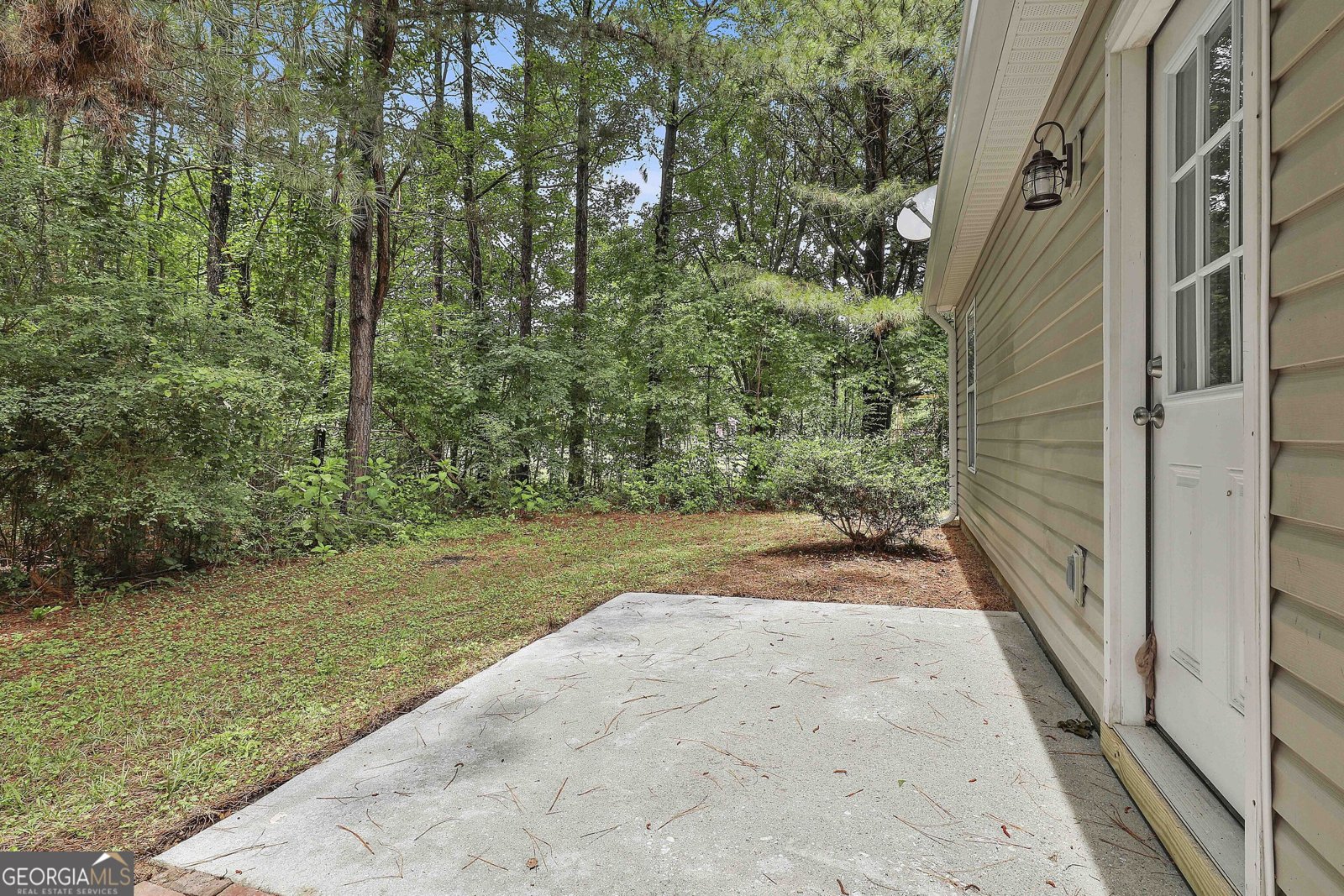 59 Carmel Road Senoia - Photo 31