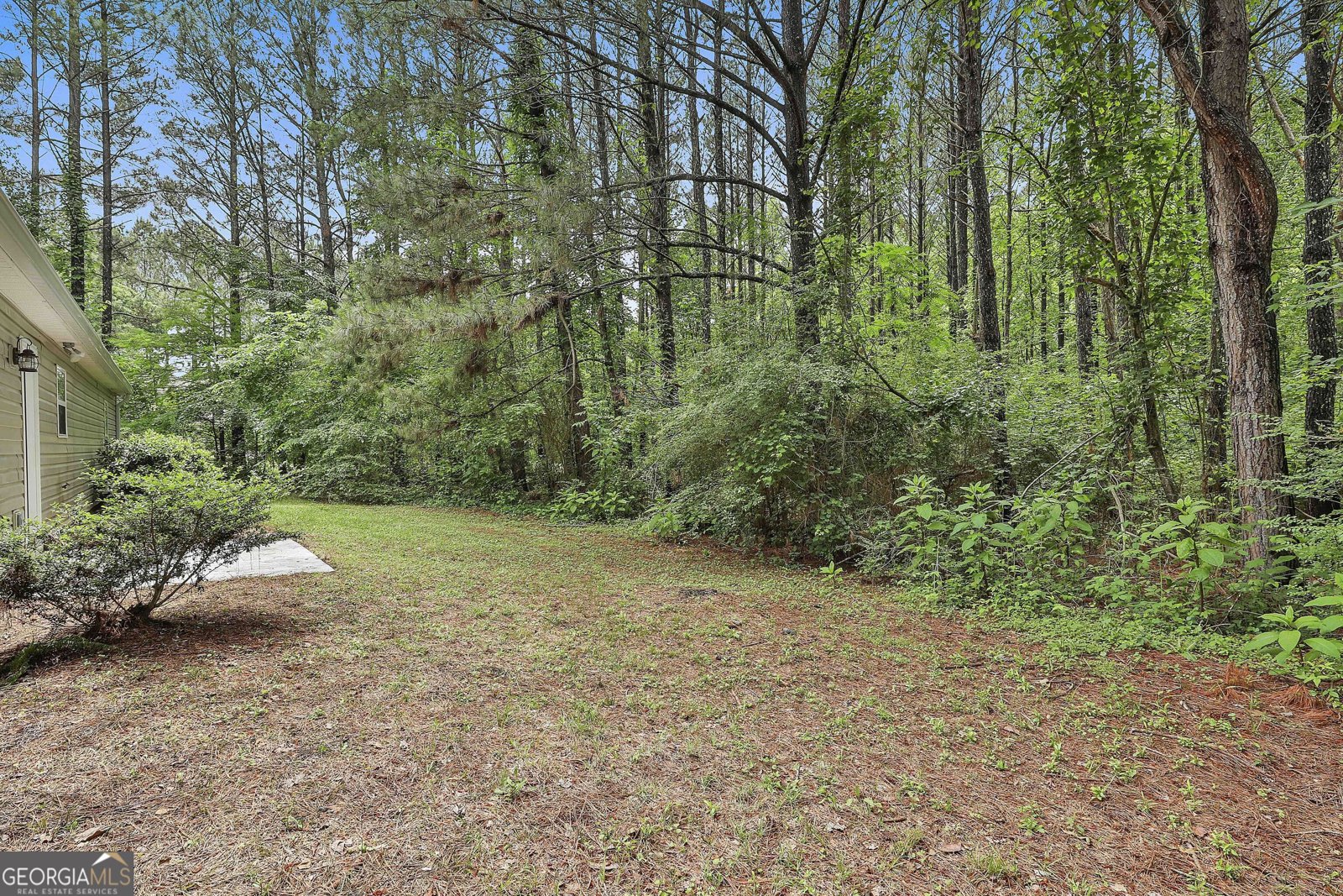 59 Carmel Road Senoia - Photo 33