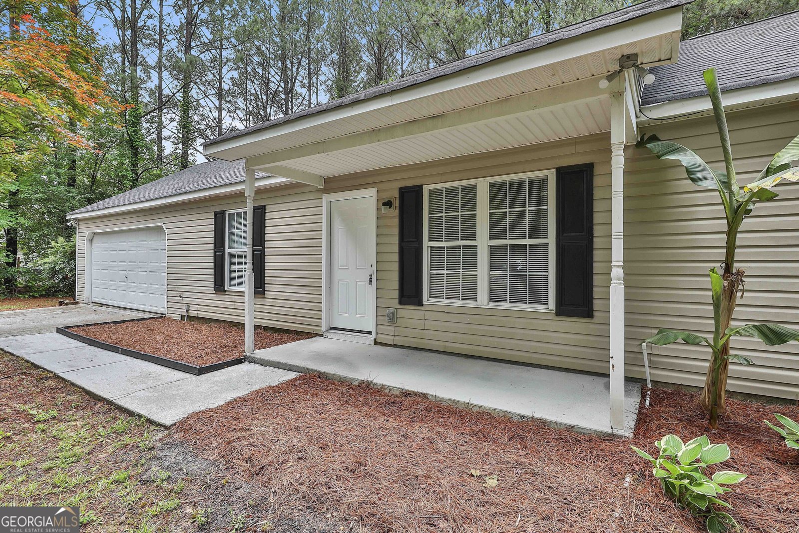 59 Carmel Road Senoia - Photo 6