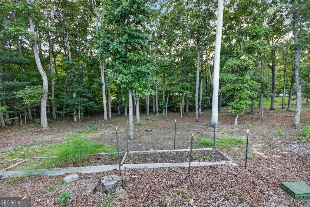 52 Ivy Ridge Court Blue Ridge - Photo 57