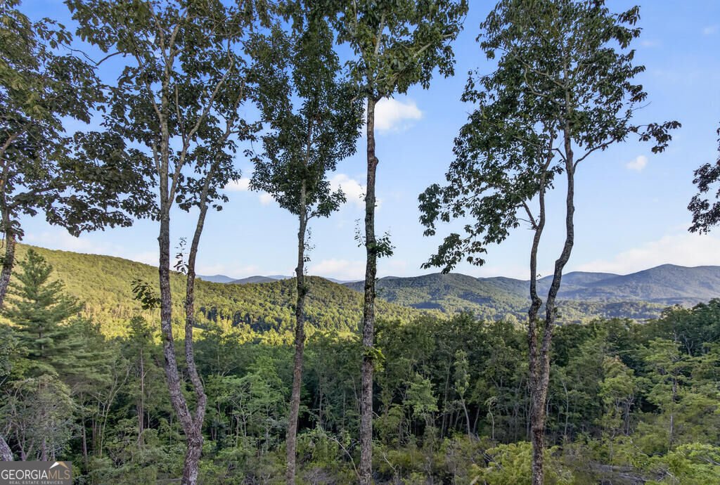 193 7 Figure Ridge Blue Ridge - Photo 89