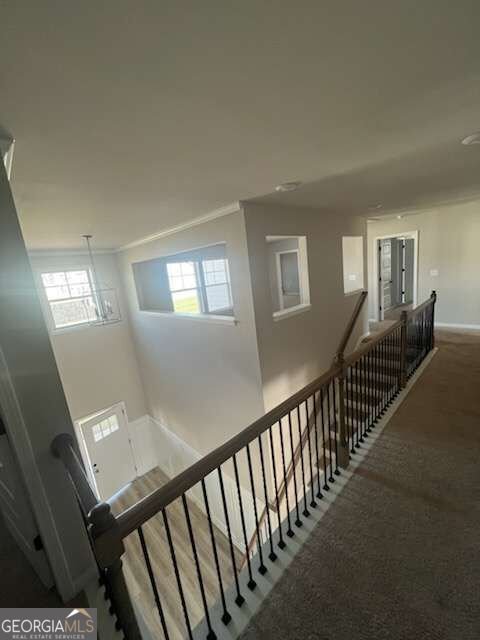 1734 Cadence Street Locust Grove - Photo 10