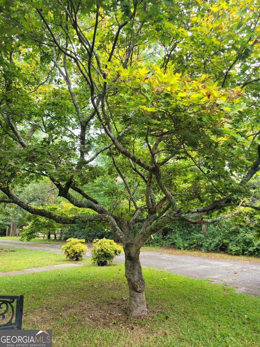 115 Price Drive Locust Grove - Photo 25