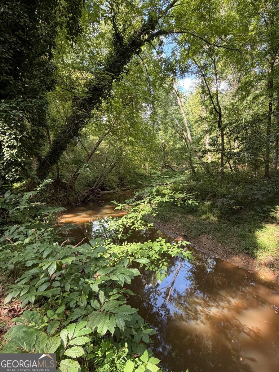 395 George Gray Lane Waleska - Photo 11