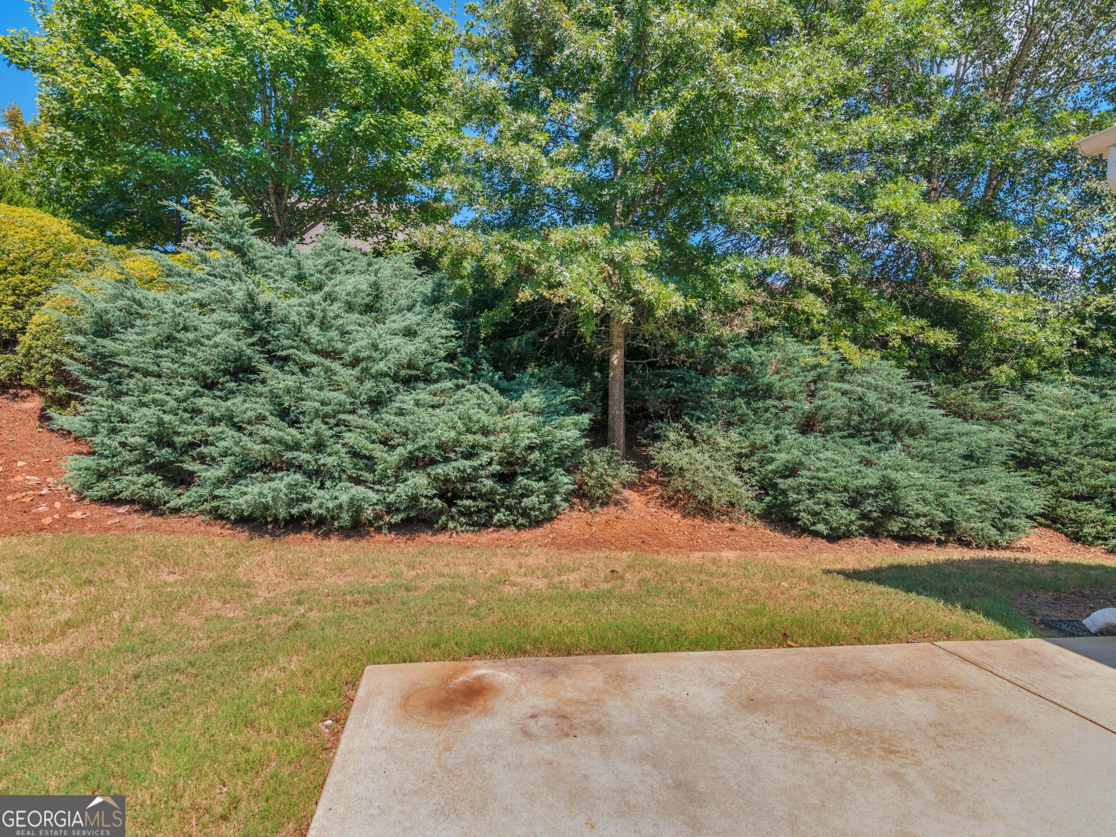 358 Sandy Springs Drive Griffin - Photo 56
