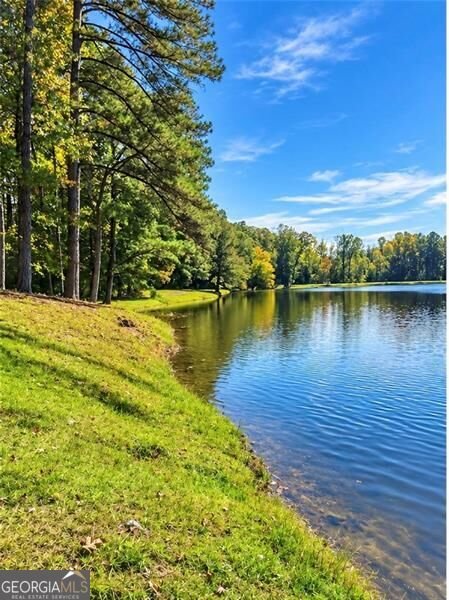 8430 Nolandwood Lane Villa Rica - Photo 81