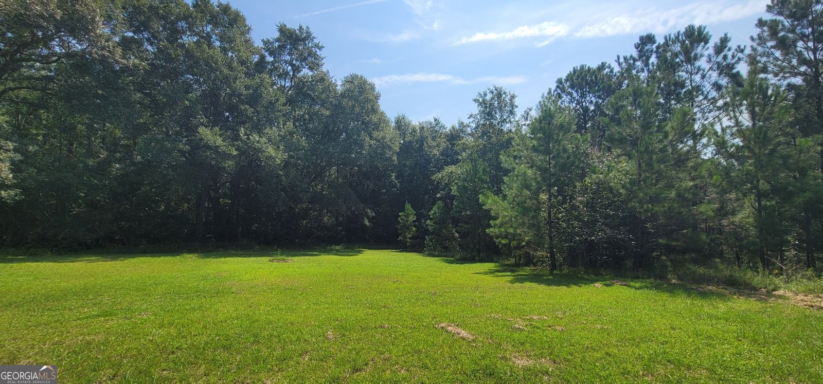 121 Pecan Grove Rd Sylvania - Photo 11
