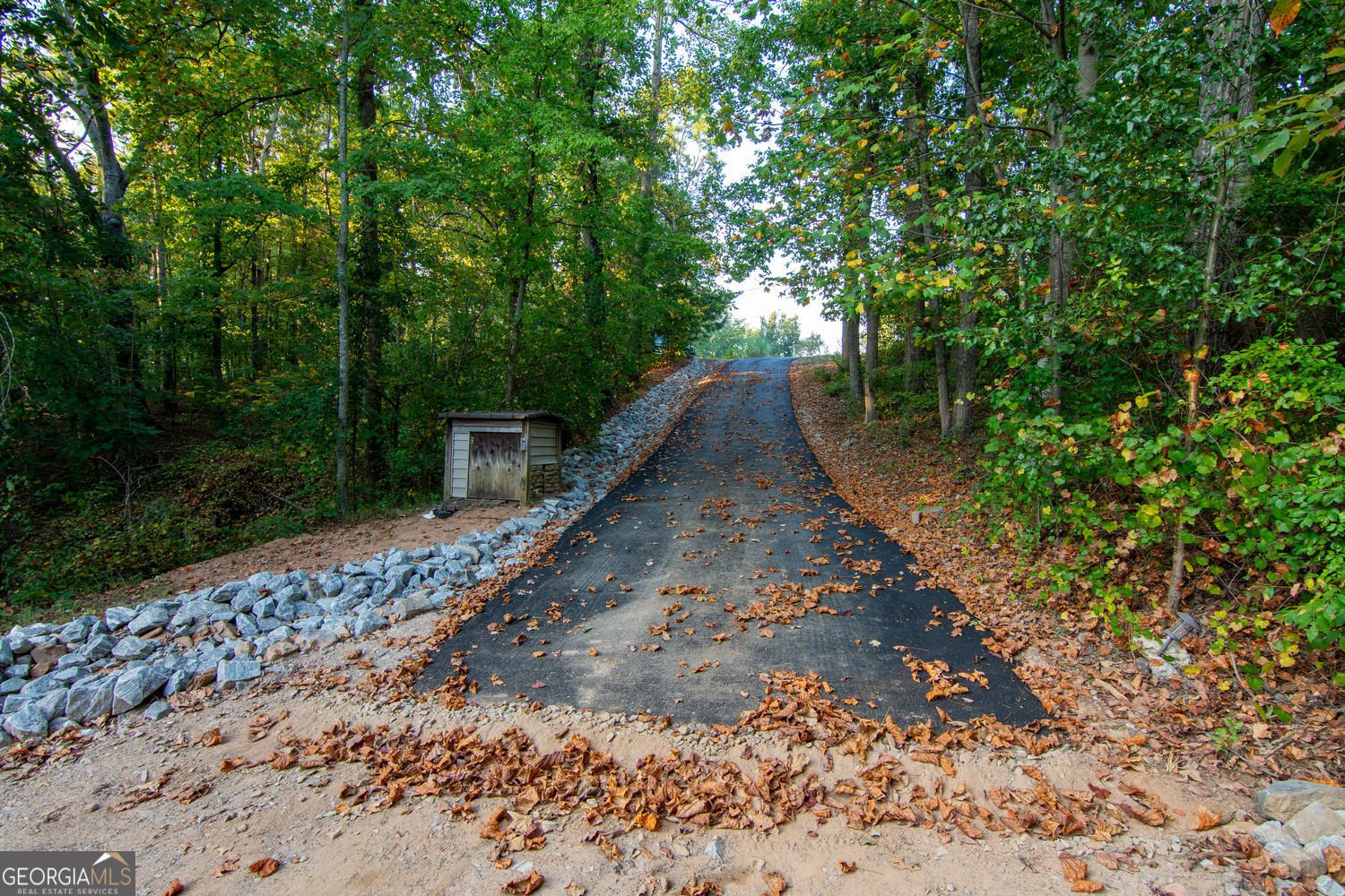 81 Cherokee Trail Ball Ground - Photo 34