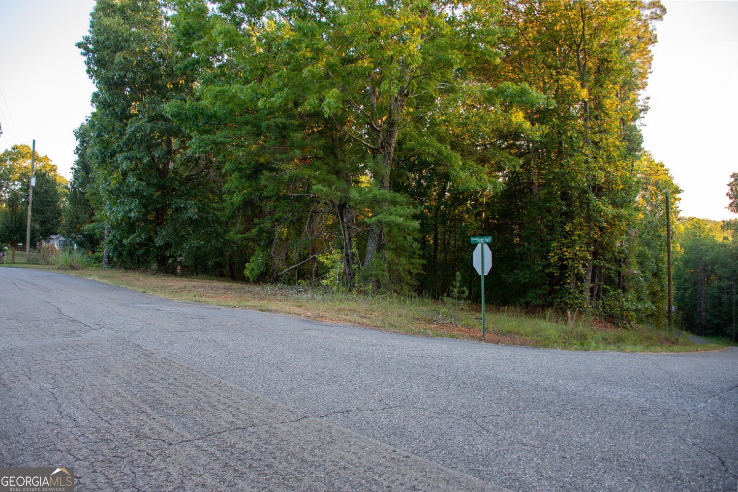 81 Cherokee Trail Ball Ground - Photo 40
