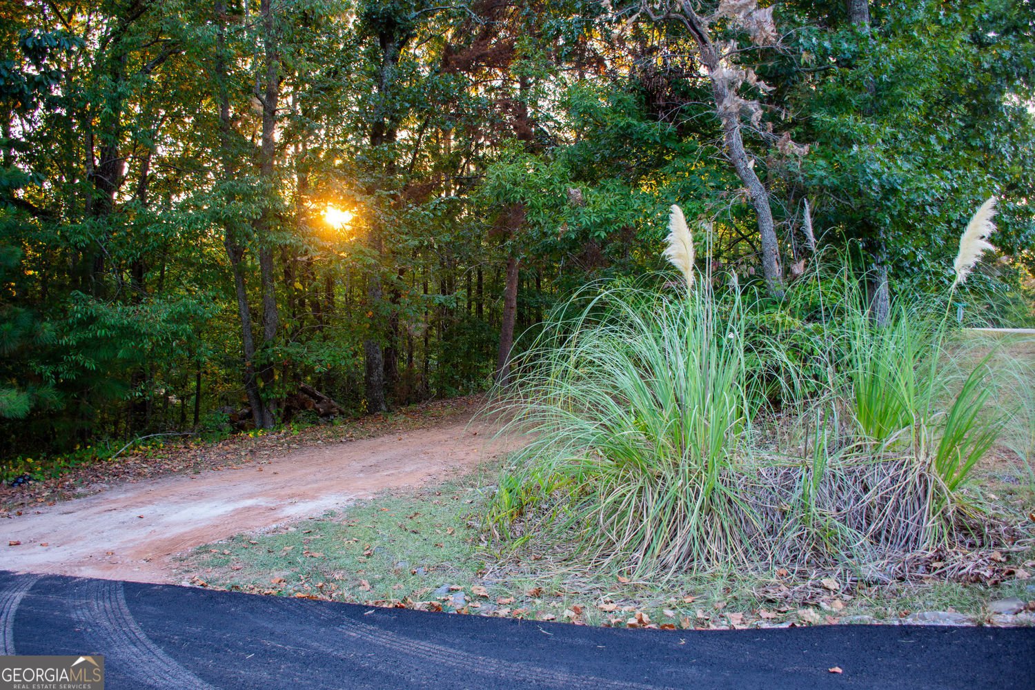 81 Cherokee Trail Ball Ground - Photo 41