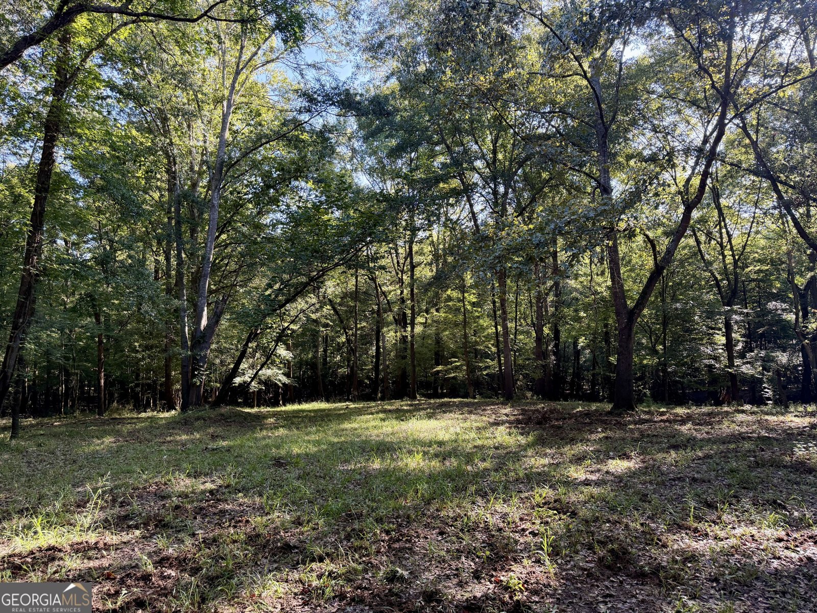 239 Coleman Landing Road Hawkinsville - Photo 11