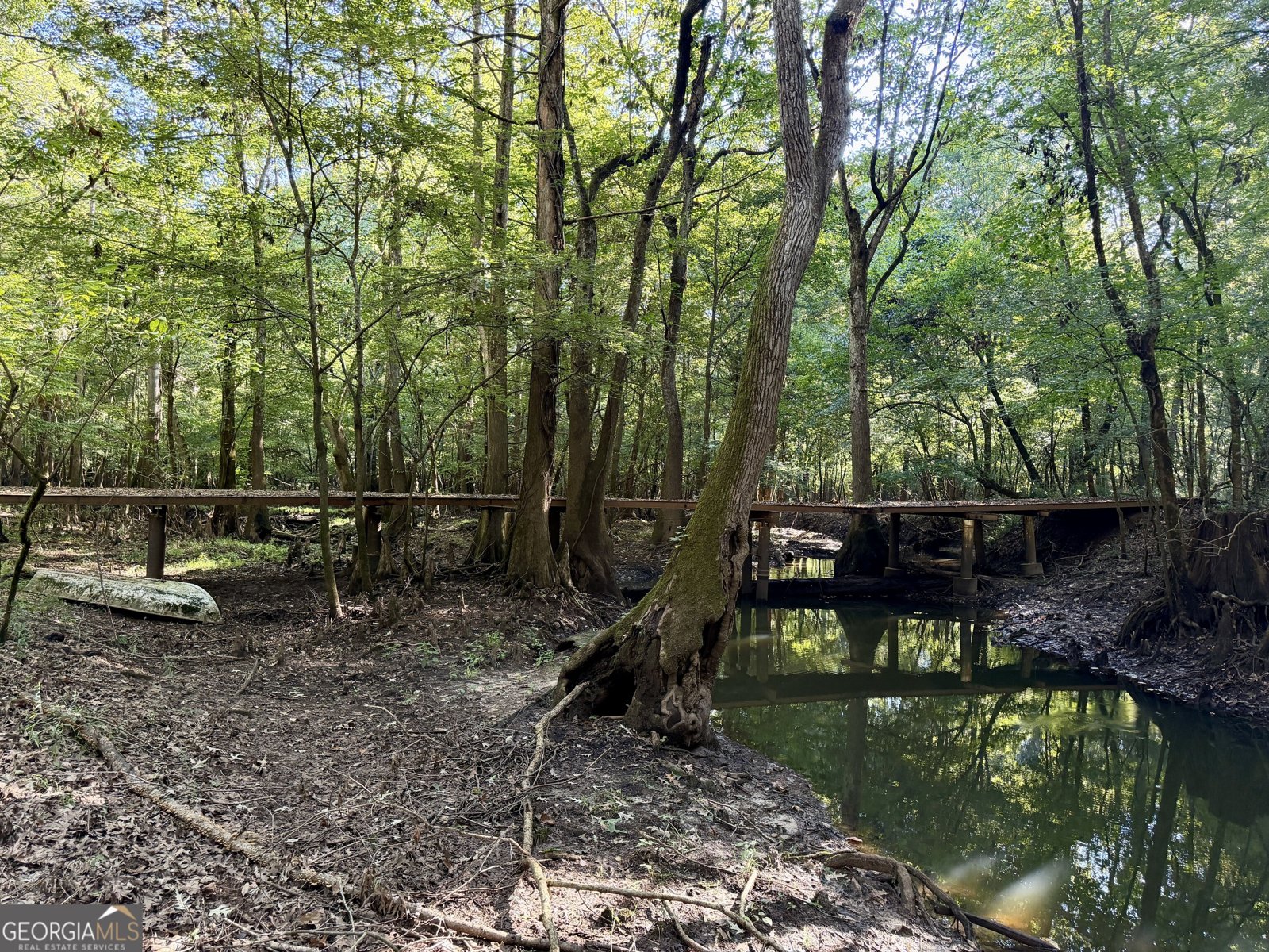 239 Coleman Landing Road Hawkinsville - Photo 12